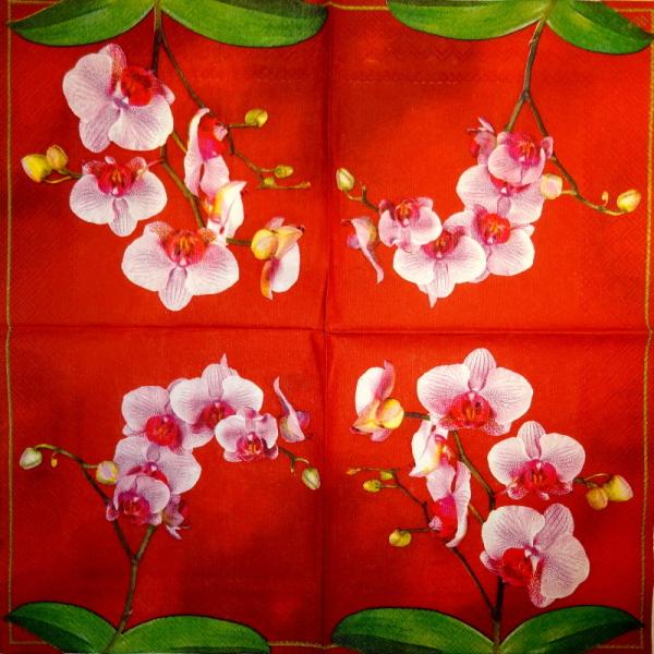 027 Orchideen - 3-lagig(rot) - Ihr
